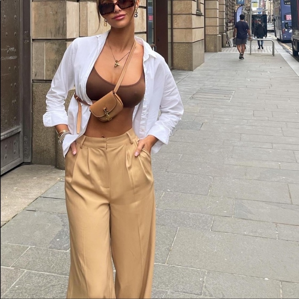 Zara Pleated Wide Leg Pants - Picture 2 of 16